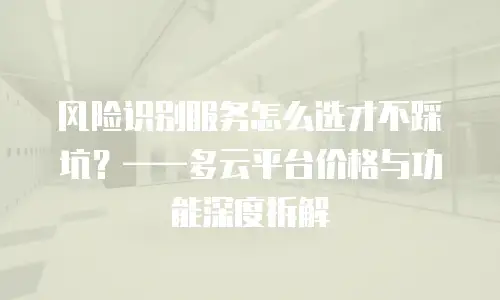 风险识别服务怎么选才不踩坑？——多云平台价格与功能深度拆解