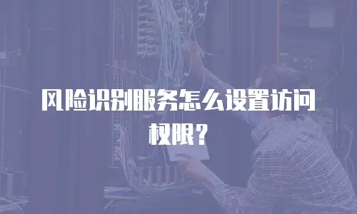 风险识别服务怎么设置访问权限？