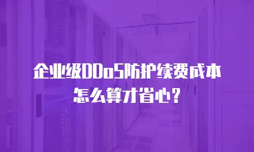 企业级DDoS防护续费成本怎么算才省心？