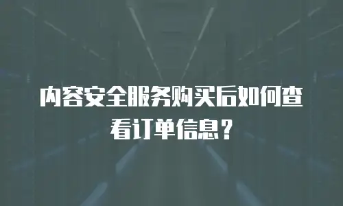 内容安全服务购买后如何查看订单信息？