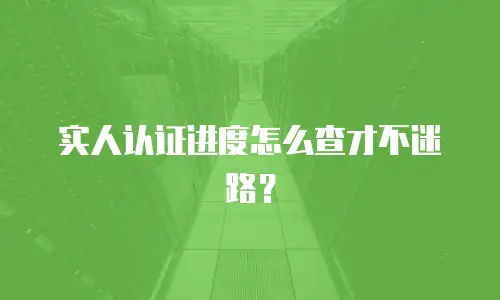 实人认证进度怎么查才不迷路？