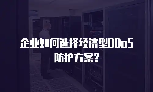 企业如何选择经济型DDoS防护方案？