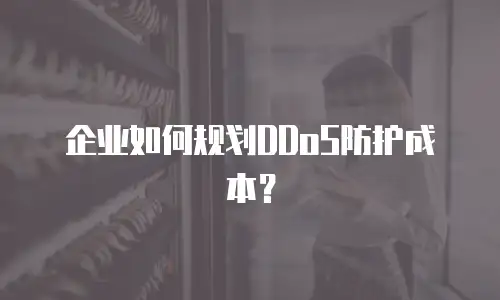 企业如何规划DDoS防护成本？