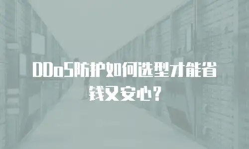 DDoS防护如何选型才能省钱又安心？
