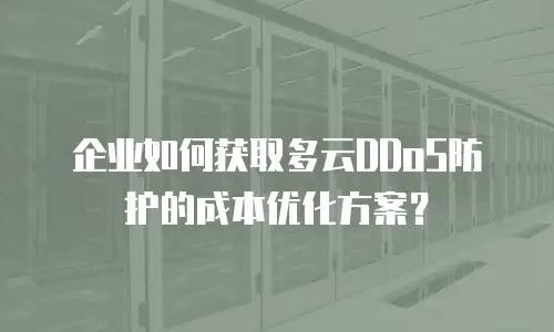 企业如何获取多云DDoS防护的成本优化方案？