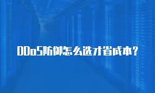 DDoS防御怎么选才省成本？