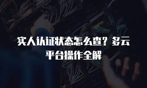 实人认证状态怎么查？多云平台操作全解