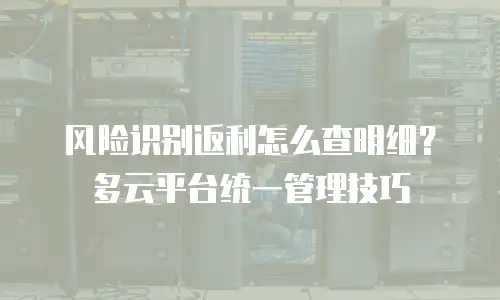 风险识别返利怎么查明细？多云平台统一管理技巧