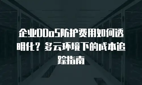 企业DDoS防护费用如何透明化？多云环境下的成本追踪指南