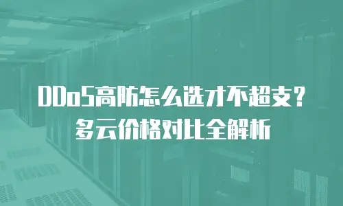 DDoS高防怎么选才不超支？多云价格对比全解析