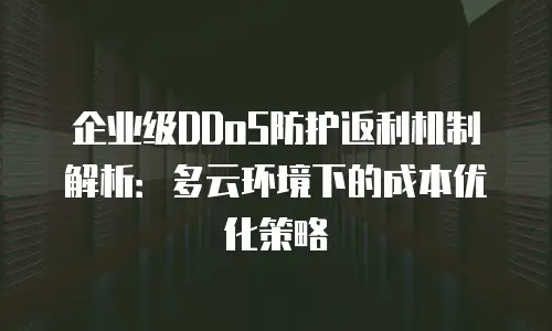企业级DDoS防护返利机制解析：多云环境下的成本优化策略