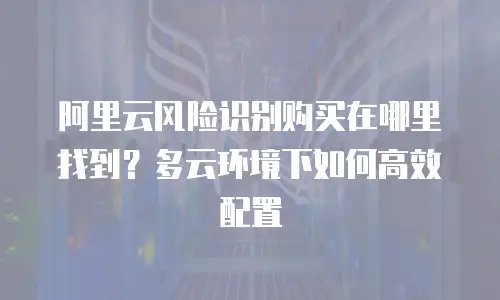阿里云风险识别购买在哪里找到？多云环境下如何高效配置