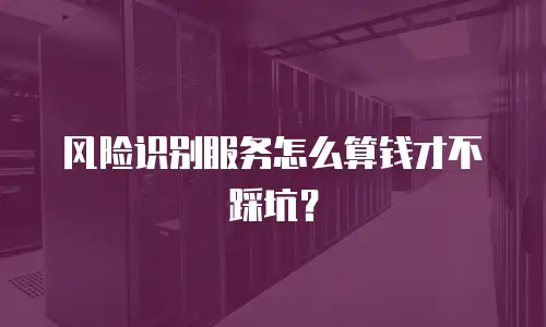 风险识别服务怎么算钱才不踩坑？