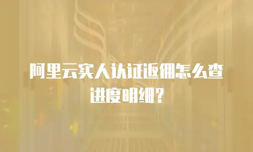 阿里云实人认证返佣怎么查进度明细？