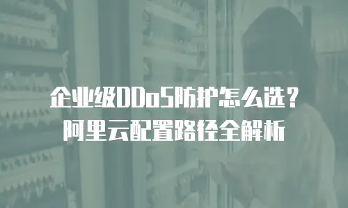 企业级DDoS防护怎么选？阿里云配置路径全解析