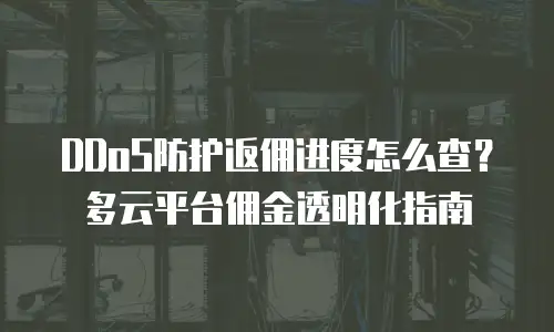 DDoS防护返佣进度怎么查？多云平台佣金透明化指南