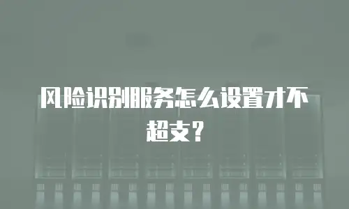 风险识别服务怎么设置才不超支？