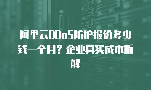 阿里云DDoS防护报价多少钱一个月？企业真实成本拆解