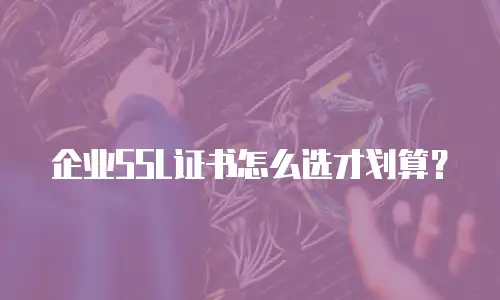 企业SSL证书怎么选才划算？