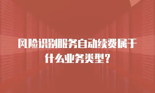 风险识别服务自动续费属于什么业务类型？