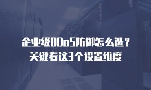 企业级DDoS防御怎么选？关键看这3个设置维度