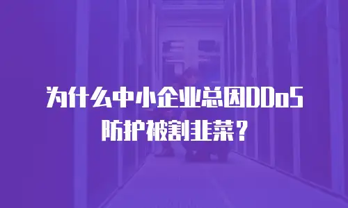 为什么中小企业总因DDoS防护被割韭菜？