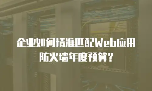 企业如何精准匹配Web应用防火墙年度预算？