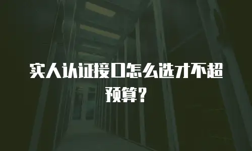 实人认证接口怎么选才不超预算？