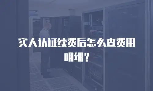 实人认证续费后怎么查费用明细？