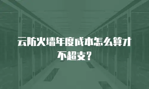 云防火墙年度成本怎么算才不超支？