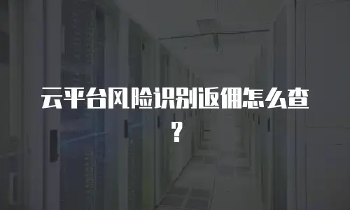 云平台风险识别返佣怎么查？