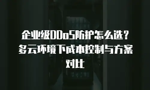 企业级DDoS防护怎么选？多云环境下成本控制与方案对比