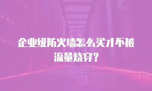 企业级防火墙怎么买才不被流量烧穿？