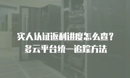 实人认证返利进度怎么查？多云平台统一追踪方法