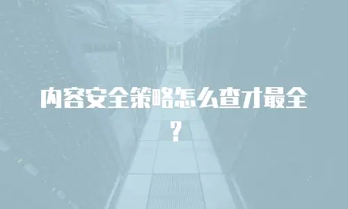 内容安全策略怎么查才最全？