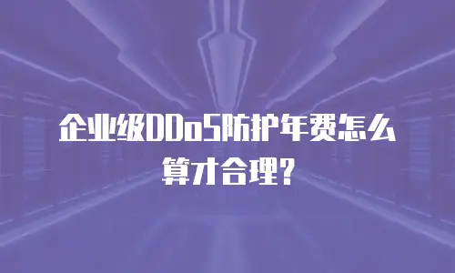 企业级DDoS防护年费怎么算才合理？