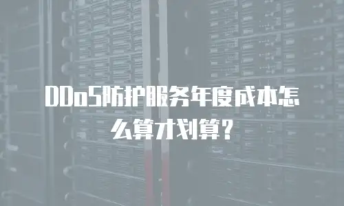 DDoS防护服务年度成本怎么算才划算？
