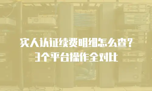 实人认证续费明细怎么查？3个平台操作全对比