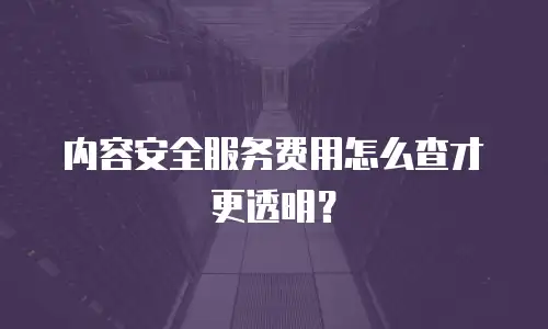 内容安全服务费用怎么查才更透明？