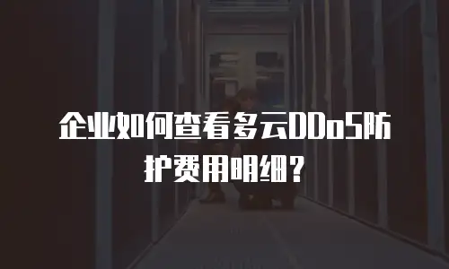 企业如何查看多云DDoS防护费用明细？