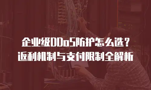 企业级DDoS防护怎么选？返利机制与支付限制全解析