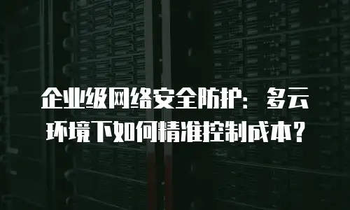 企业级网络安全防护：多云环境下如何精准控制成本？