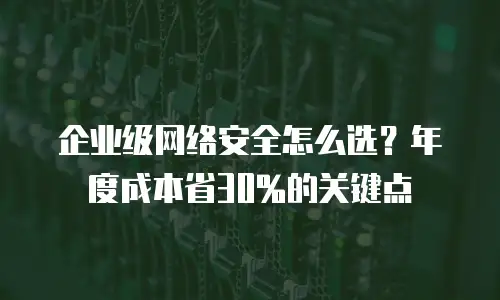 企业级网络安全怎么选？年度成本省30%的关键点