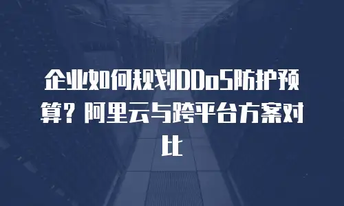 企业如何规划DDoS防护预算？阿里云与跨平台方案对比
