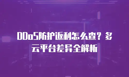 DDoS防护返利怎么查？多云平台差异全解析
