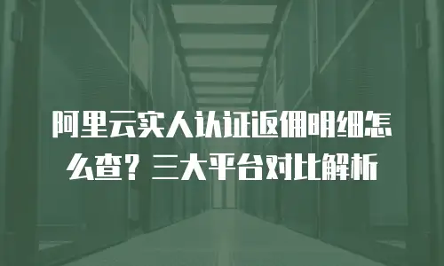 阿里云实人认证返佣明细怎么查？三大平台对比解析