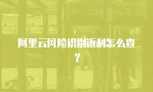 阿里云风险识别返利怎么查？