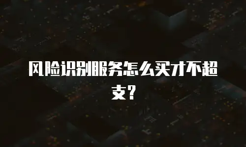 风险识别服务怎么买才不超支？