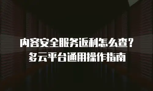 内容安全服务返利怎么查？多云平台通用操作指南