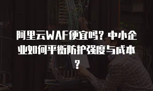 阿里云WAF便宜吗？中小企业如何平衡防护强度与成本？